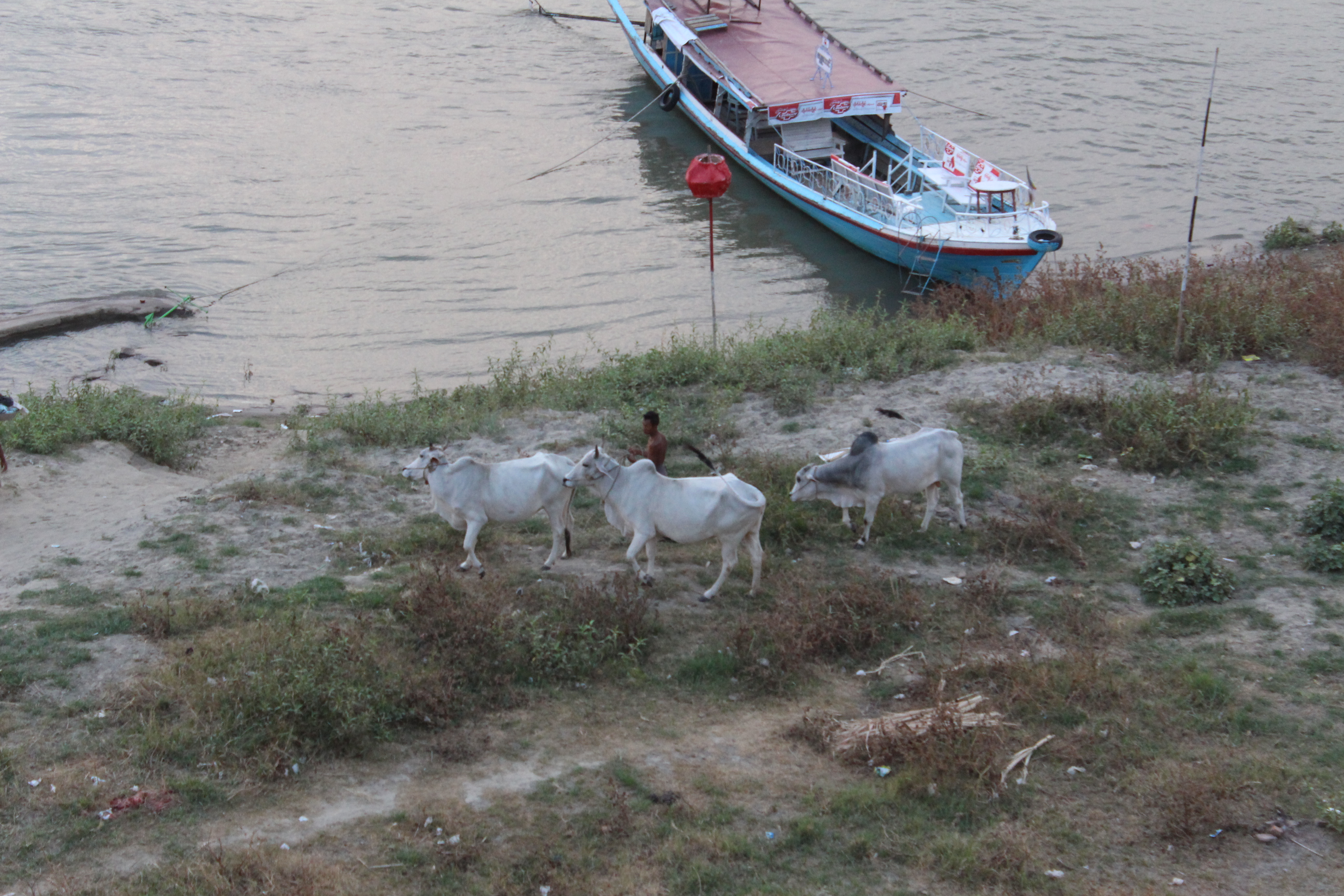 Banks of Ayerwaddy