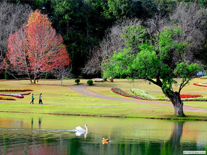 Botanical garden