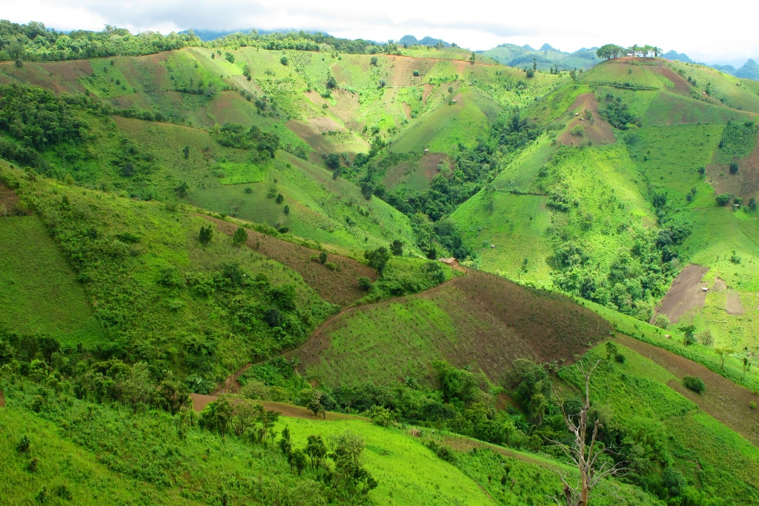 Shan State