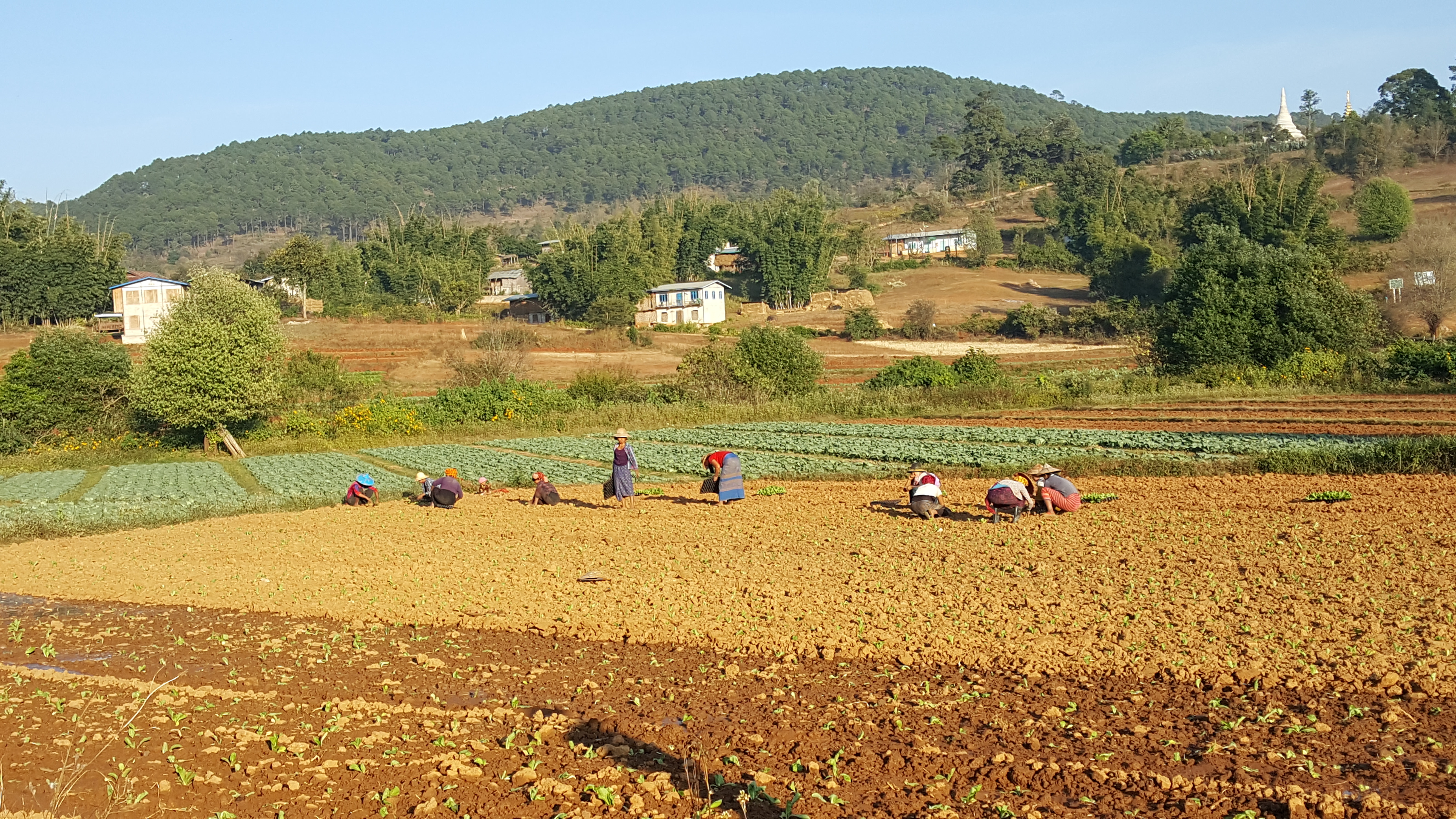 Kalaw trek